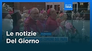 Le notizie del giorno | 30 novembre 2025 - Serale