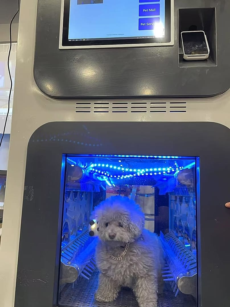 Woofwoof Lux introduced a dog washing machine. 