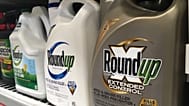 FILE. Containers of Roundup are displayed on a store shelf in San Francisco. 24. Feb 2019.