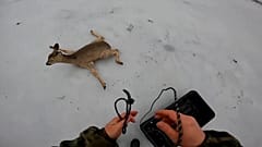 Un chevreuil coincé sur le lac gelé, secouru par un pêcheur, lac Chernoye, Russie, 26 novembre 2025