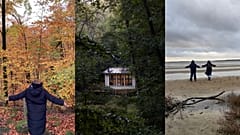 Visit Skåne, gürültü kirliliğine yanıt olarak Stay Quiet adlı kampanyasını başlattı.
