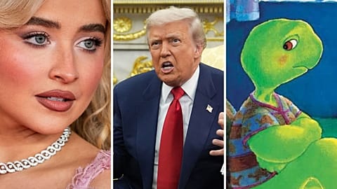 Sabrina Carpenter and Franklin the Turtle hit out at Trump administration 