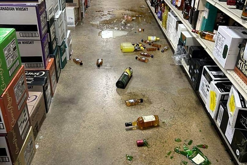 Rakun dükkanda ortalığı birbirine kattı