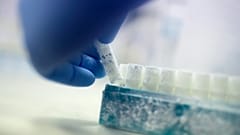 DATEI - Auf diesem Foto vom Dienstag, 15. Mai 2018, nimmt der Wissenschaftler Fabrice De Bond ein Fläschchen mit gefrorenen Spendersamenproben in einem Labor bei Melbourne IVF in Melbourne, Australien, in die Hand.