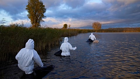 Environmental workers collect the bodies of birds that have died from bird flu in a lake in Linum, Brandenburg, Germany, on Oct. 27, 2025.