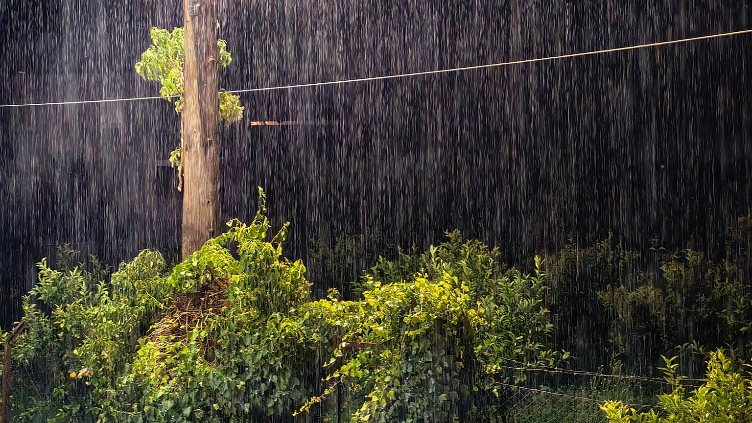 Nafplio / Schlechtes Wetter Byron