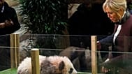 ARCHIVO - La primera dama francesa Brigitte Macron asiste al bautizo del panda nacido en el ZooParc de Beauval, en Saint-Aignan-sur-Cher, Francia, cuatro de diciembre de 2017