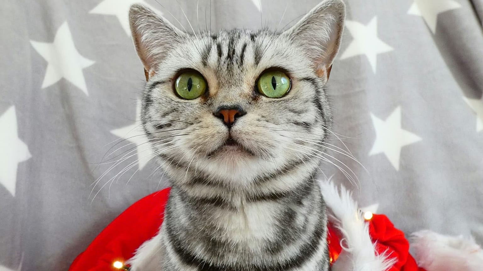 Arşiv görüntüsü