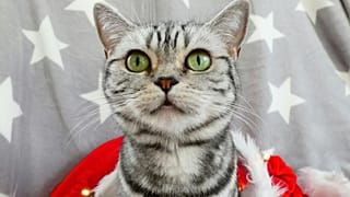 Arşiv görüntüsü