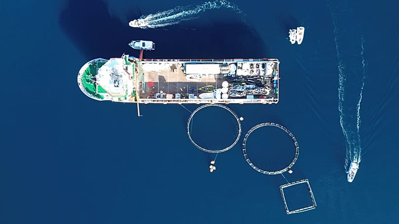  Καθαρισμός βυθού 