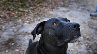 Φώτο αρχείου