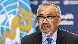 WHO condemns airstrikes that killed 114 in Sudan