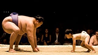 Egy szumó bemutató, 2008 júniusában