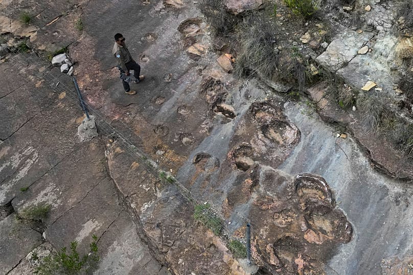Un garde forestier à côté d'empreintes de dinosaures pétrifiées à Carreras Pampa, dans le parc national de Toro Toro, aen Bolivie, le 6 décembre 2025.