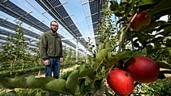 Un invernadero con un sistema fotovoltaico en Alemania