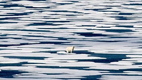 In this Saturday, July 22, 2017, file photo, a polar bear stands on the ice in the Franklin Strait in the Canadian Arctic Archipelago.