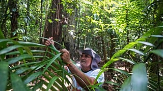 Communities of slave descendants in Brazil demand recognition of territories and livelihood