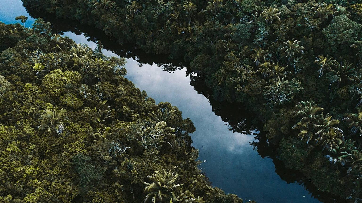 Der Amazonas steuert auf ein hypertropisches Klima zu. Das wäre Neuland.