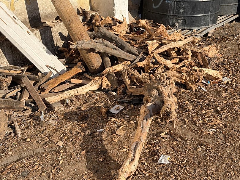 الحطب بدل غاز الطهي الذي يكاد لا يدخل قطاع غزة، دير البلح 10.12.2025