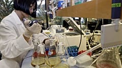 كبيرة العلماء في شركة Hollis-Eden Pharmaceuticals، تعمل في المختبر
