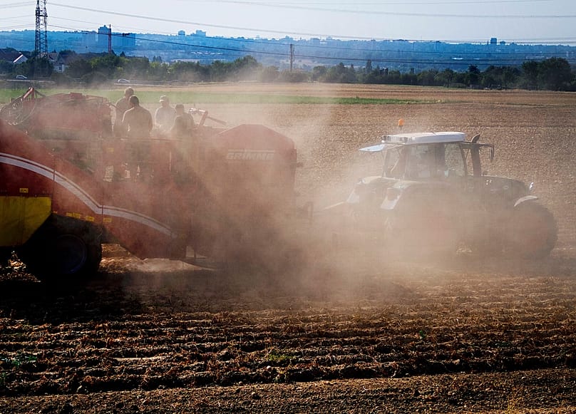 Die Witterungsbedingungen waren für die Kartoffel in diesem Jahr perfekt.