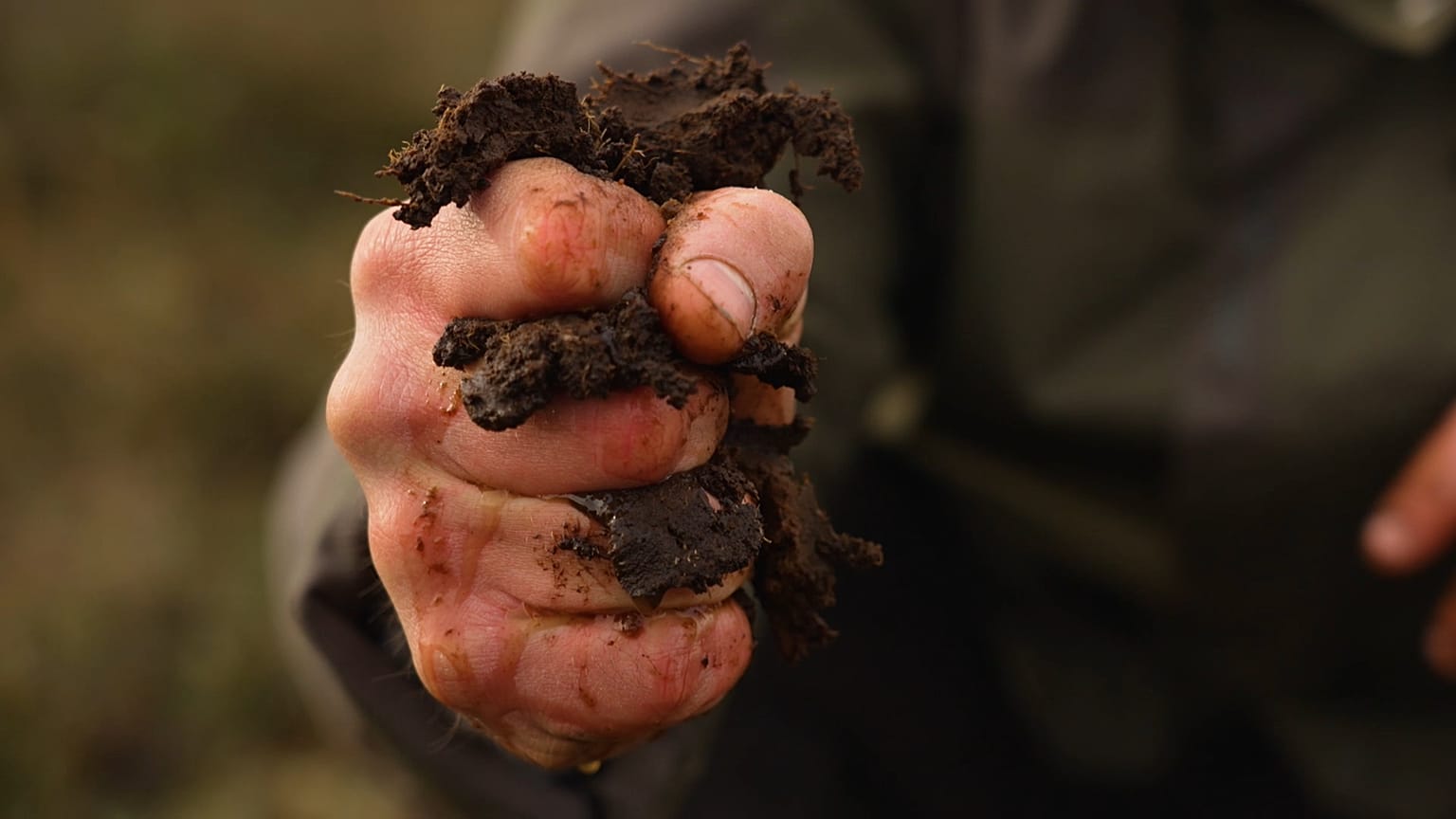 Μετατρέποντας τυρφώνες σε πράσινη οικονομία στα Μιντλαντς της Ιρλανδίας
