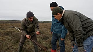 Ireland's Magic Word: How ‘Paludiculture' is Transforming Peatlands and Farmers' Futures