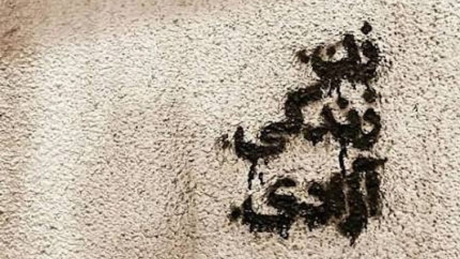 جنبش زن، زندگی، آزادی