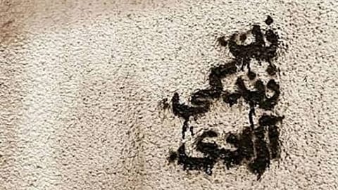 جنبش زن، زندگی، آزادی