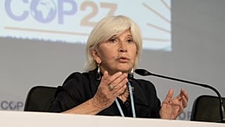 Laurence Tubiana, CEO of the European Climate Foundation (ECF), speaks about ongoing negotiations at the COP27 U.N. Climate Summit, Nov. 17, 2022, in Egypt.