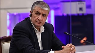 محمد اسلامی، رئیس سازمان انری اتمی ایران