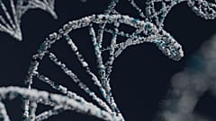 Des scientifiques ont cartographié le paysage génétique de 14 troubles psychiatriques, dans une vaste analyse de l’influence des gènes sur la maladie mentale.