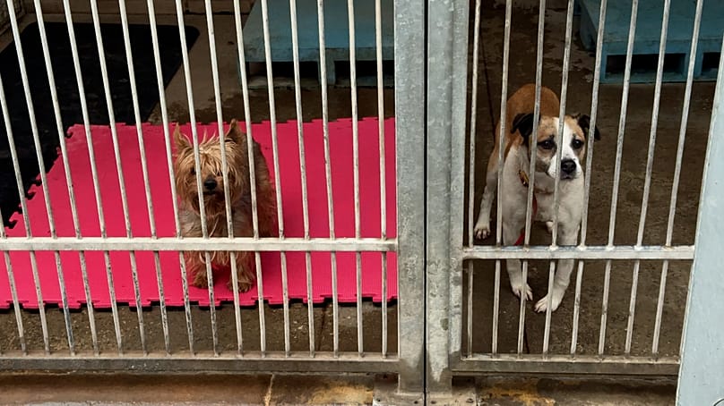 Ο Πρόεδρος Karol Nawrocki άσκησε βέτο στον λεγόμενο 