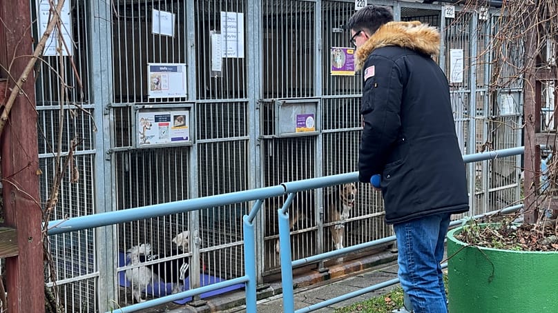 Το Euronews στο καταφύγιο ζώων Paluch στη Βαρσοβία.