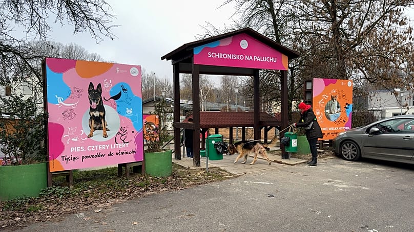 Το καταφύγιο ζώων στο Paluch στη Βαρσοβία.