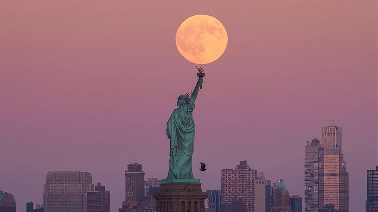 يظهر قمر الحصاد العملاق خلف تمثال الحرية في بروكلين، الاثنين 6 أكتوبر/تشرين الأول 2025، في جيرسي سيتي بولاية نيوجيرسي.