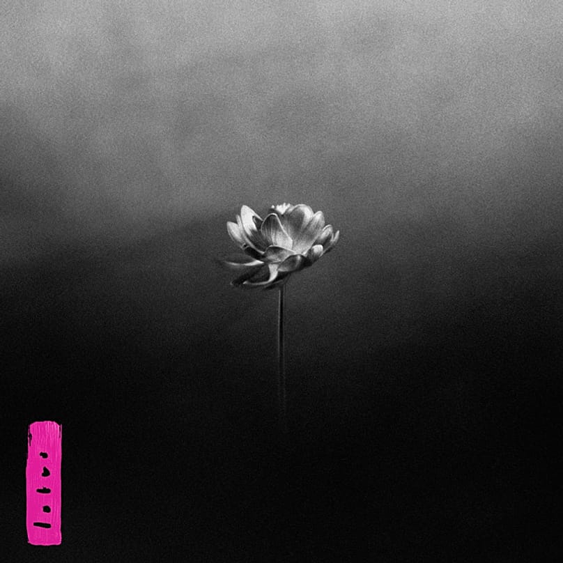 Little Simz - 'Lotus'