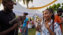 Nigeria : le carnaval des chiens de Lagos développe la culture canine