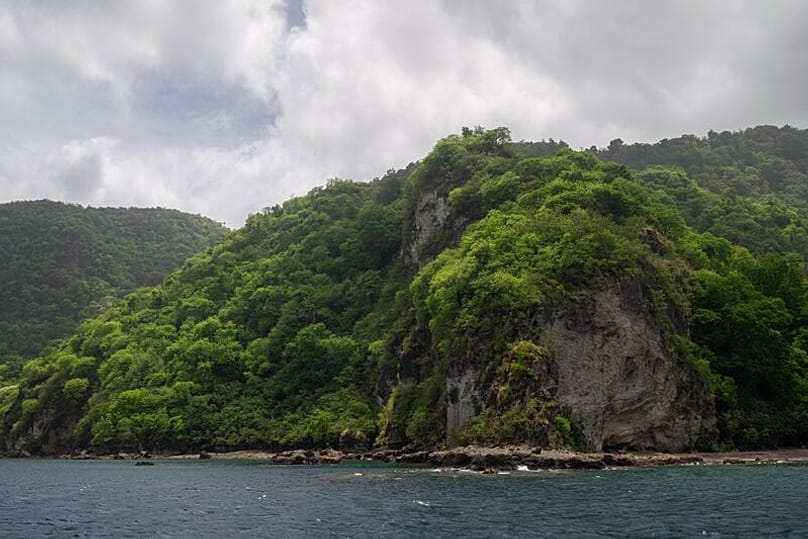 "Prickly Pear East bu güzel kertenkeleler için umut ışığına dönüştü."