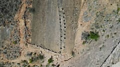 footprints by dinosaurs