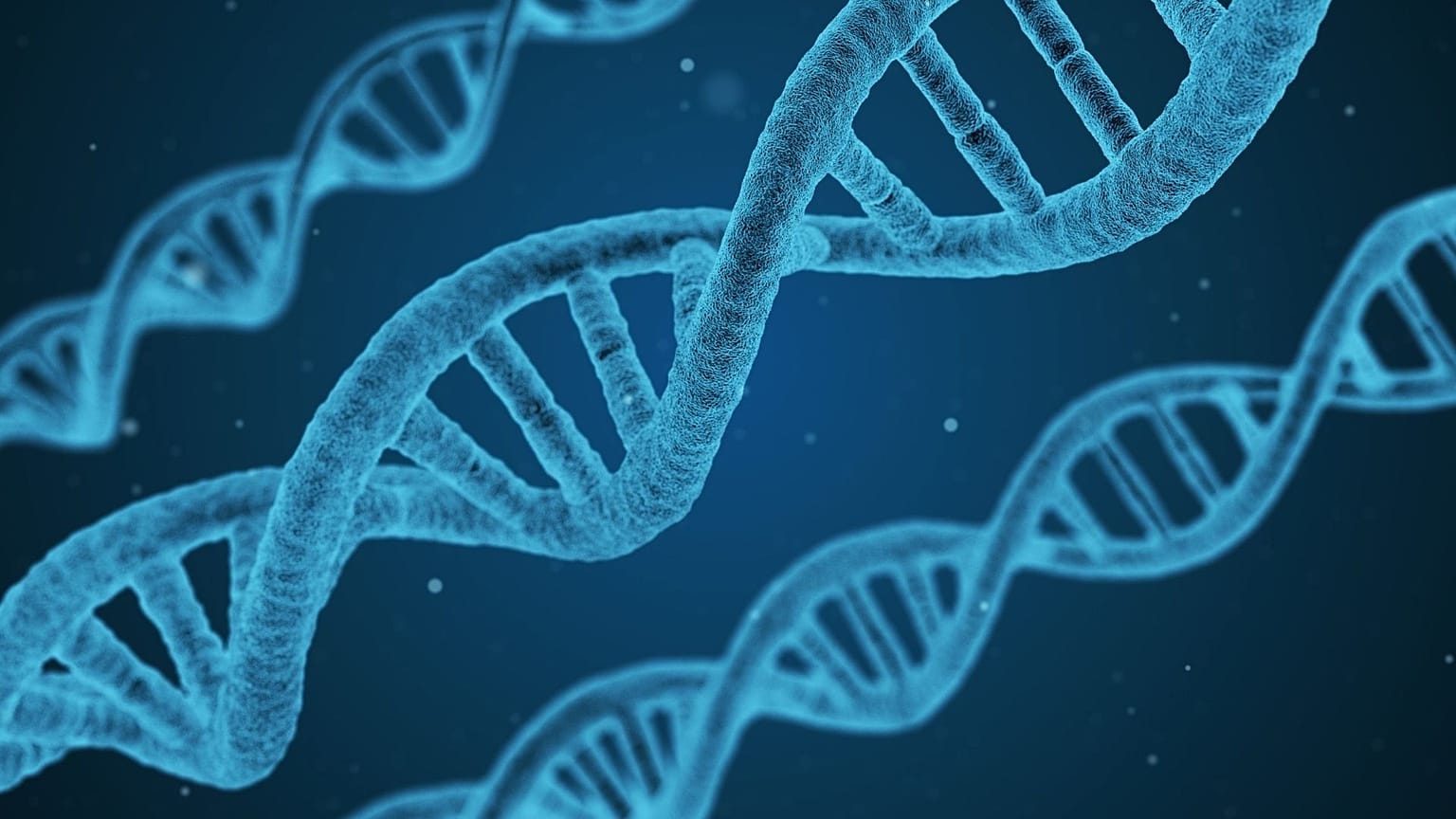 سلاسل الحمض النووي (DNA)