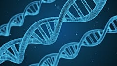 سلاسل الحمض النووي (DNA)