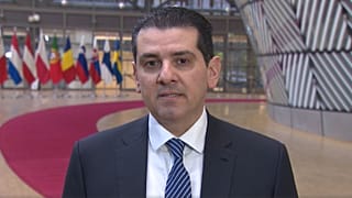 Ο Μιχάλης Δαμιανός