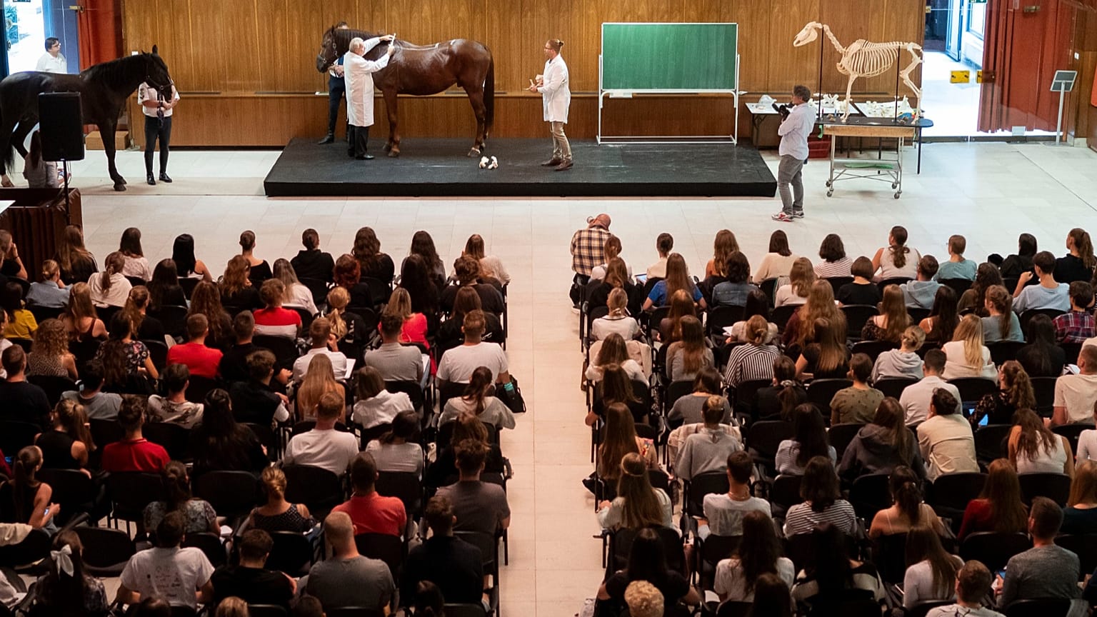 Dr Peter Sotonyi, rector of the University of Veterinary Medicine in Budapest, Hungary, gives an anatomy lecture for first-year students.