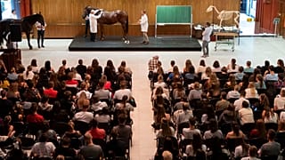 Dr. Szotonyi Péter, a Budapesti Állatorvostudományi Egyetem rektora anatómia előadást tart az elsőéves hallgatóknak.