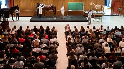Dr Peter Sotonyi, rector of the University of Veterinary Medicine in Budapest, Hungary, gives an anatomy lecture for first-year students.