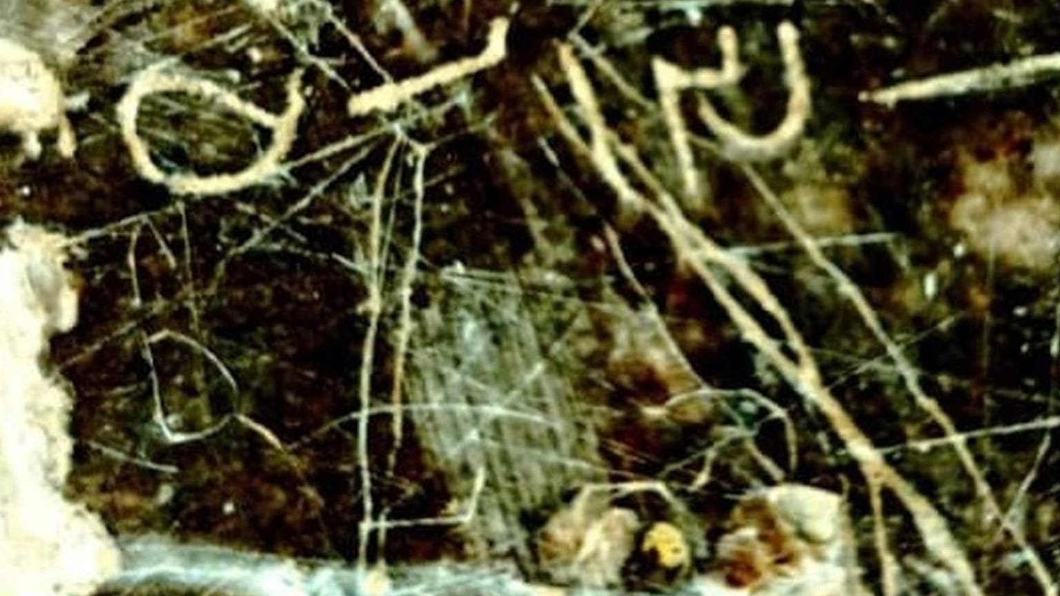 تصویری از کتیبه ثبت شده