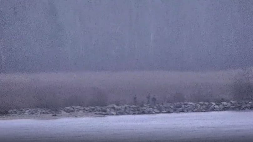 По данным Министерства иностранных дел Эстонии, трое российских пограничников пересекли границу НАТО.