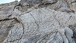 Orme di dinosauri del Triassico, Parco Nazionale dello Stelvio