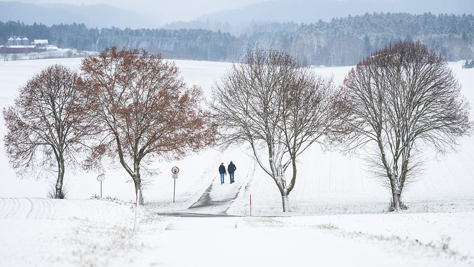 Schnee in Bösingen in Deutschland Ende November